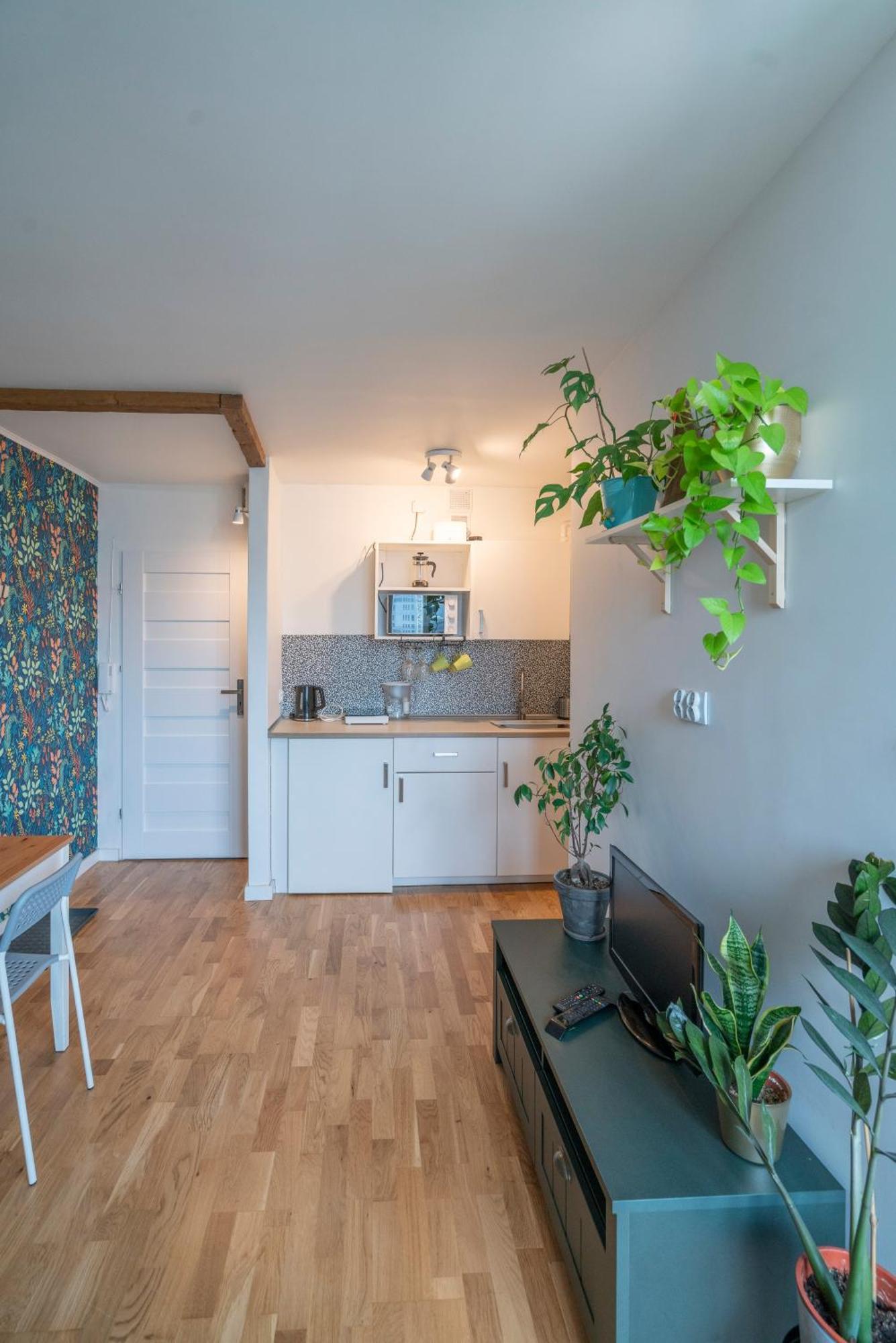Green Studio In The City Center Of Вроцлав Экстерьер фото
